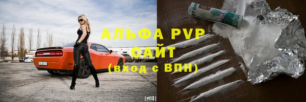 индика Верхний Тагил